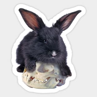 Skull Bunny - Grey Version Sticker